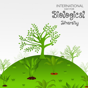 植物區系研究工業圖片-植物區系研究工業素材-植物區系研究工業插畫-攝圖新視界